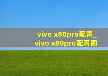 vivo x80pro配置_vivo x80pro配置图